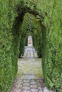 Archway through hedges at Al Hambra, Granada