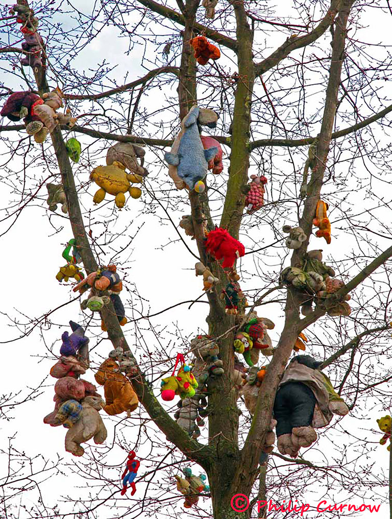 Strange Fruit - part of a project shot in Amsterdam with the University of Wales, Newport and exhibited chosen as their Exhibition poster image.