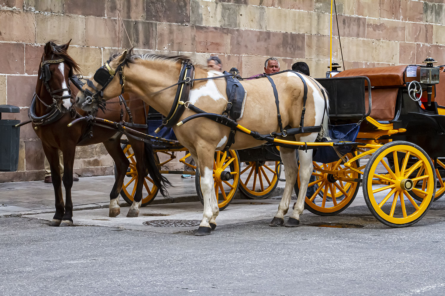 Spain,Horse-drawn tourist carriages in Malaga.