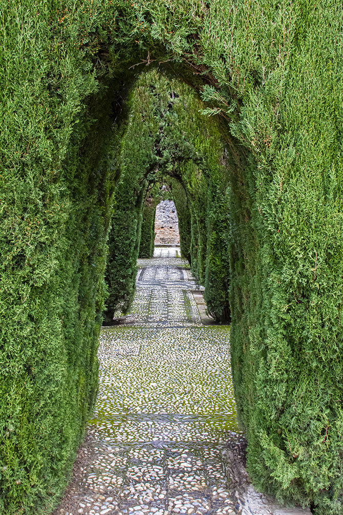 Archway through Hedges at the Al Hambra